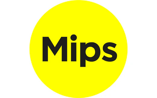 Qu'est-ce que Mips?